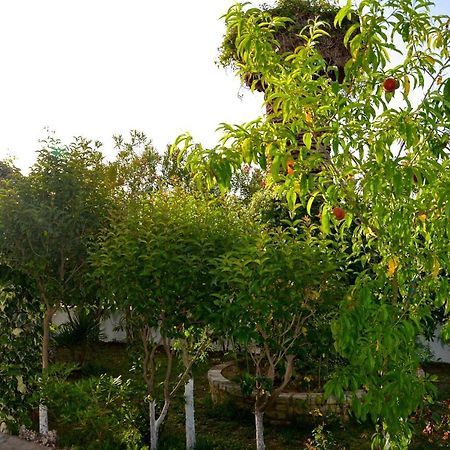 Kostas' Garden Apartment โรดา ภายนอก รูปภาพ