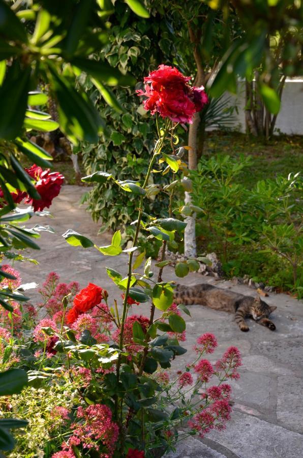 Kostas' Garden Apartment โรดา ภายนอก รูปภาพ