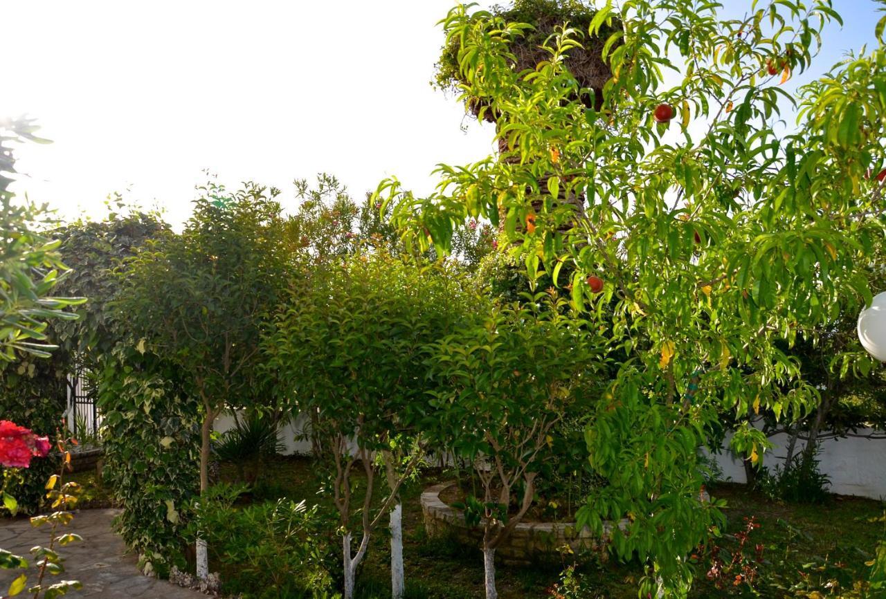Kostas' Garden Apartment โรดา ภายนอก รูปภาพ